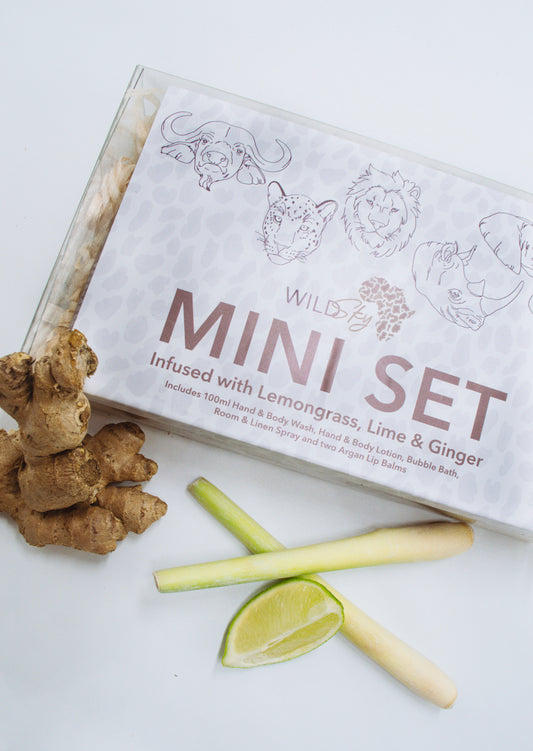 Mini Set