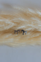 Zebra Studs