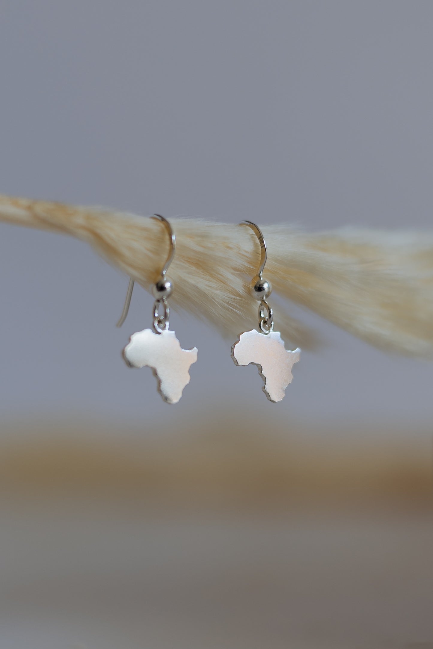 Solid Africa Map Hang Earrings