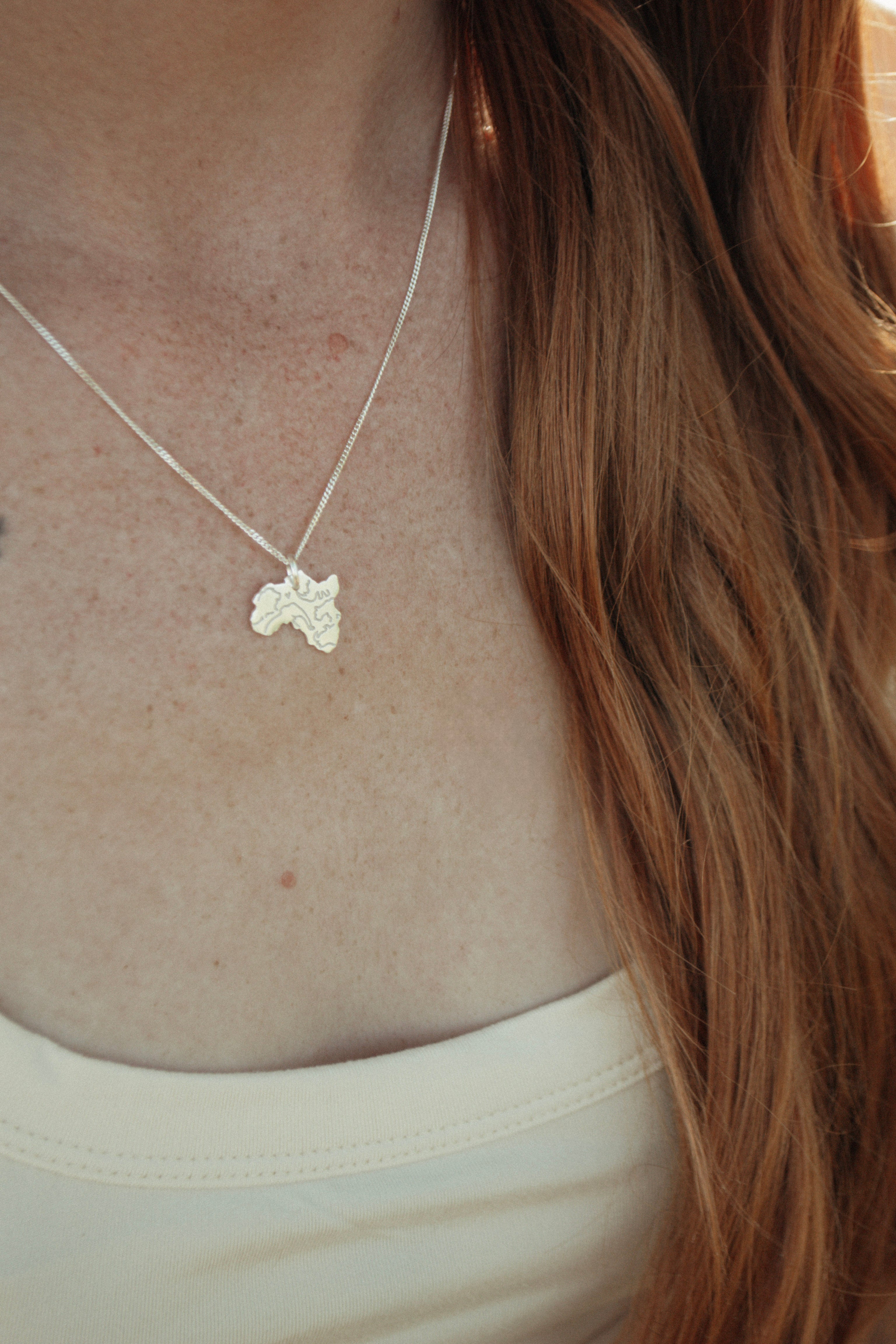 Africa Pendant Featuring Buffalo, Elephant, Leopard, Lion, Rhino Engraving